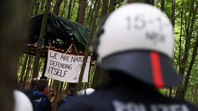 Racketeová se pidala k aktivistm, kteí obsadili les.