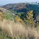 Policist po dvojici ptrali v Prokopskm dol a oboe Hvzda.