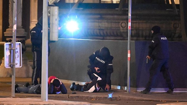 Policie v Nmecku i Rakousku má poslední roky napilno.