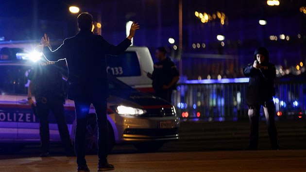 Policie v Nmecku i Rakousku má poslední roky napilno.