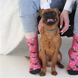 Ponoky PupSocks