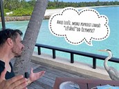 Leo Mare na Maledivách vtipkuje u od ranního kuropní.