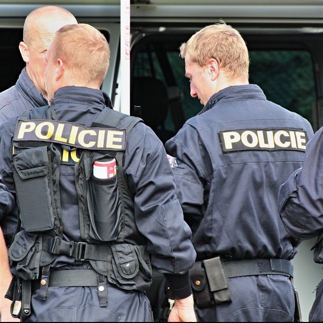 Policie (Ilustran foto)
