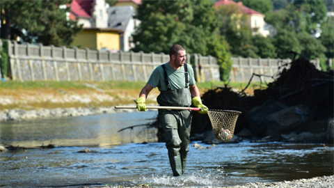 Do kafilerie odvezli rybáři více než 40 tun ryb. Náprava škod v Bečvě potrvá...
