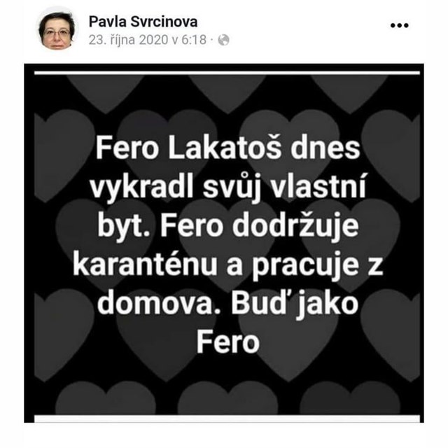 Pspvek, kter hlavn hygienika Pavla Svrinov sdlela v jnu.