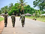 Sever Mosambiku stále astji ohroují dihádisté, vojáci jsou tu proto bnou...