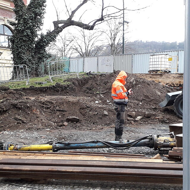 Zdenk Hib vzkazuje, e s kcenm javoru a nien zelen v Anenskm...