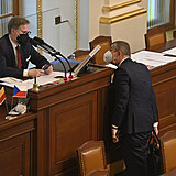 Premiér Andrej Babiš (vpravo) a místopředseda dolní parlamentní komory Petr...
