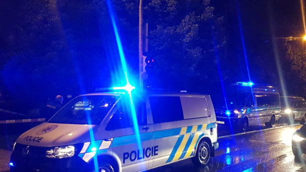 Opilého agresora ve vnitrobloku v ulici Technická v Plzni zpacifikovali až policisté. (ilustrační foto)