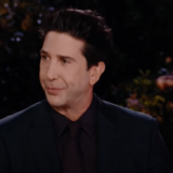 David Schwimmer alias Ross