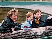 Princezna Diana se syny Harrym a Williamem