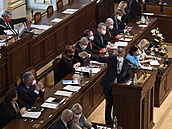 Premiér Andrej Babi (ANO) hovoí na schzi Snmovny k návrhu ásti opozice na...