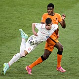 Adam Hložek v zápase proti Nizozemsku.