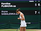 Karolína Plíková je ve finále Wimbledonu.