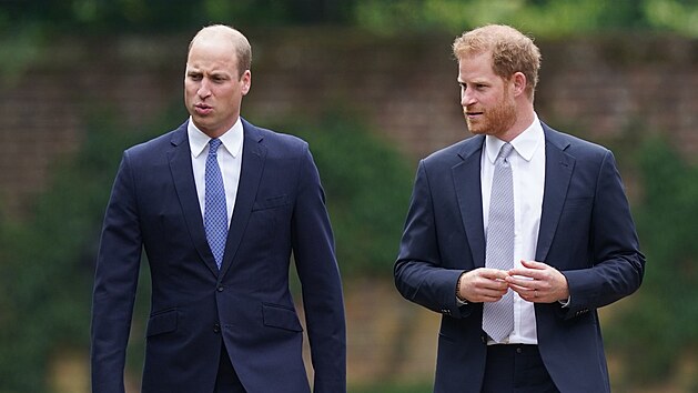 Princov William s Harrym neetili smvy.