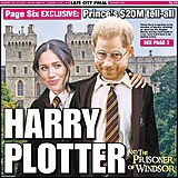 New York Post udlal z prince Harryho Harryho podrazka.