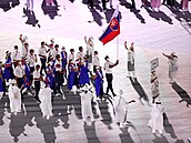 Zahájení letních olympijských her v Tokiu: Na plochu pichází výprava Slovenska.