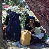 Afghánská žena