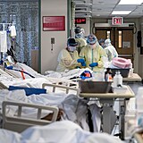 Nemocnice na Florid se pln mladmi a relativn zdravmi pacienty.