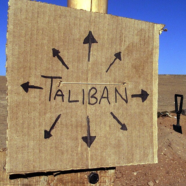Islmsk militantn hnut Tlibn postupuje Afghnistnem a podrobuje si jedno...