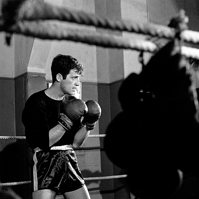 Jean-Paul Belmondo se v mld vnoval boxu.