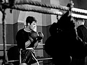 Jean-Paul Belmondo se v mládí vnoval boxu.