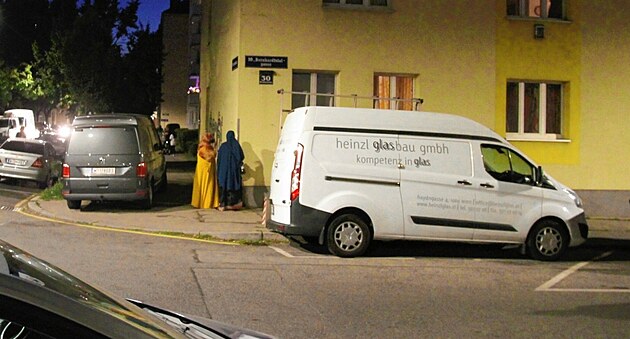 Policie v Nmecku i Rakousku má poslední roky napilno.