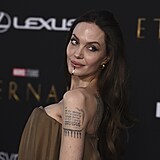 Angelina Jolie podn vystavila svoje silikony.