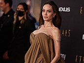 Angelina Jolie poádn vystavila svoje silikony.