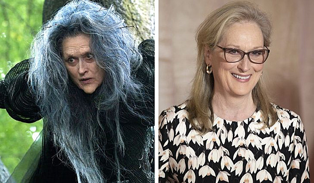 Meryl Streep - arovný les