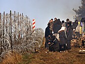 Migranti se pokusili proniknout z Bloruska do Polska. Bezpenostní síly...