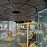 Prezident Zeman jako artefakt v muzeu.