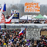 Demonstrace na Letn: Protestovat proti nazenm, roukm a covidu pily...