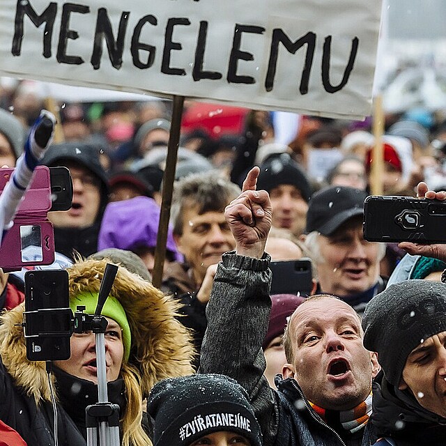 Demonstrace na Letn: Protestovat proti nazenm, roukm a covidu pily...