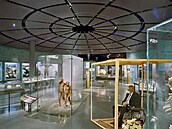 Prezident Zeman jako artefakt v muzeu.