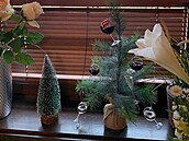 Mahulena Boanová má vánoních stromk hned nkolik, letos celkem sedm a tohle...