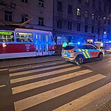 Pobl zastvky tramvaje v Jen ulici srazilo osobn auto chodce, kter i pes...