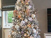 Manelé Limbertí se pochlubili svým vánoním stromkem.