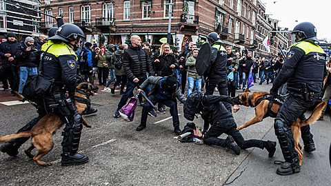 Nizozemtí policisté zapojili i psy.