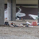 Bezdomovci stanuj nedaleko od dtskho hit.