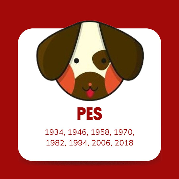 Pes