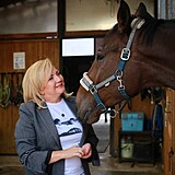 Alena Schillerová se obdivuje koni.
