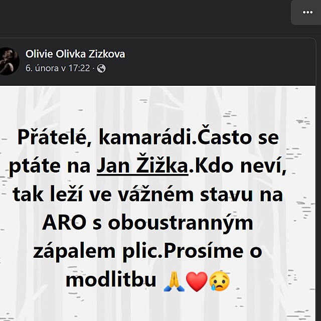 Hudebnk Jan ika, kter spolupracoval i s Karlem Gottem, le ve vnm stavu...