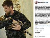 Ramzan Kadyrov je velkým milovníkem zvíat.