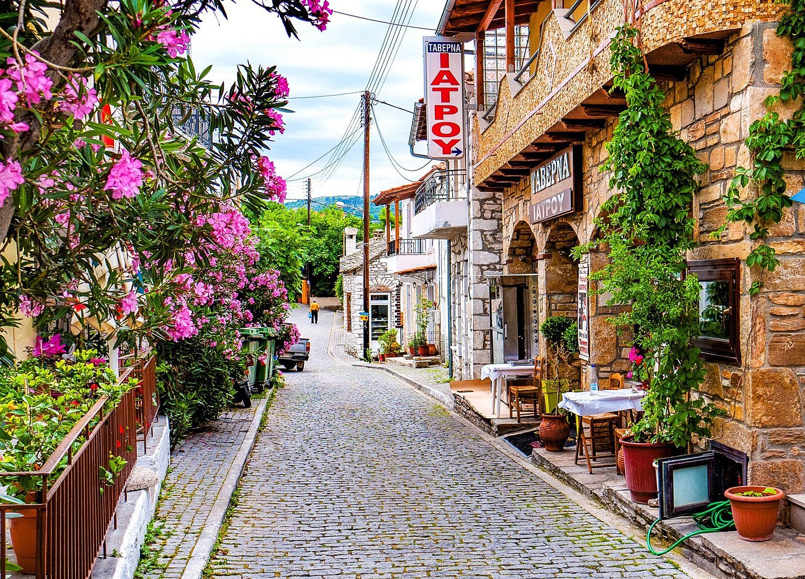 Rhodos V Plamenech 5 Tis c ech Na Ostrov N kte Bez Pas A Rhodos V Plamenech 5 Tis c ech Na Ostrov N kte Bez Pas A
