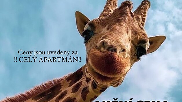 Apartmány �abka nabízí Slováková za rozumnou cenu