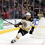 David Pastrňák je oporou Bostonu Bruins.