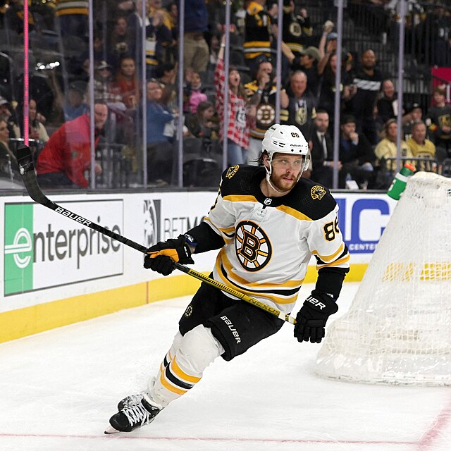 David Pastrk je oporou Bostonu Bruins.