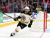 David Pastrák je oporou Bostonu Bruins.