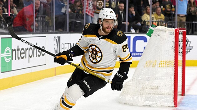 David Pastrák je oporou Bostonu Bruins.